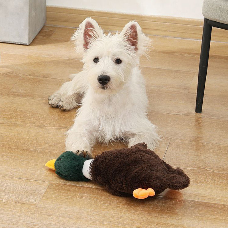 Plush Mallard Duck Dog Toy Plush Squeaky Dog Toy Crinkle Dog Toy  Cute Duck Pet Toy for Small Medium Large Pets Stuffed Animals Chew Toy for Biting Training Teething Indoor Pet Interactive Toy